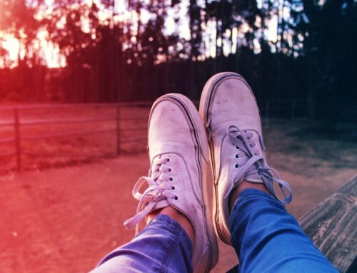 Make Time for Authenticity: An Interview with Author Lynda Schmidt